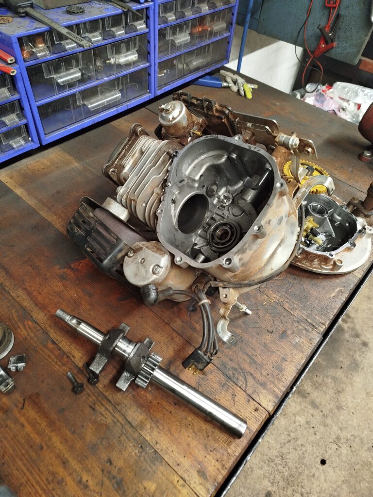 IMG_20241216_155337_Original