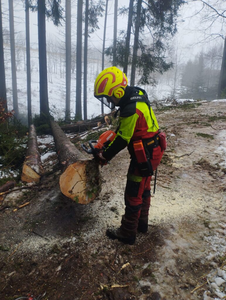 b30a9f42-fd5c-4325-b233-a1127fd572f2